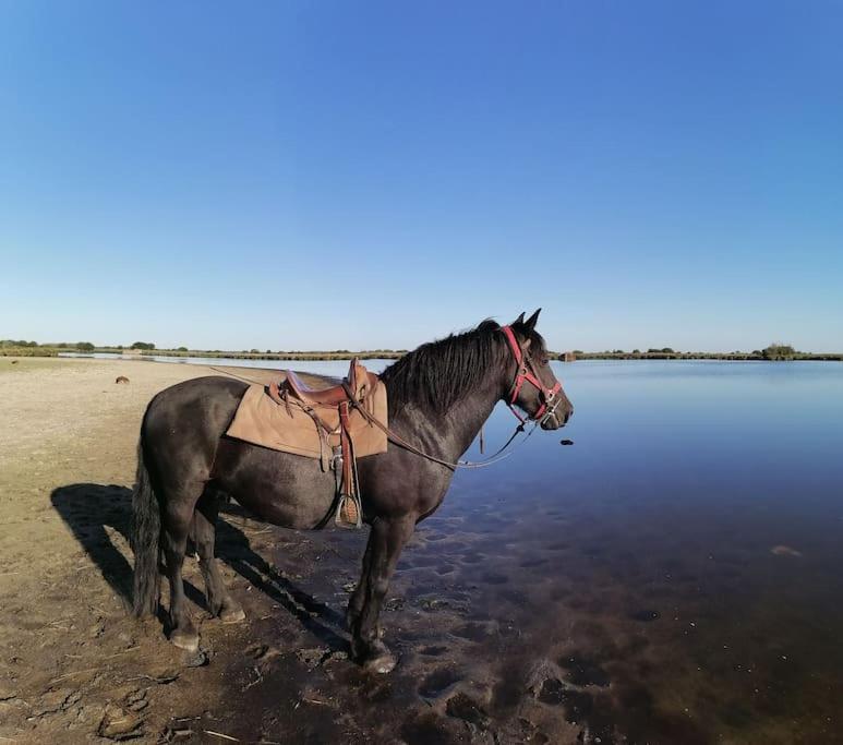 Gite A Saint Andre Des Eaux Zewnętrze zdjęcie
